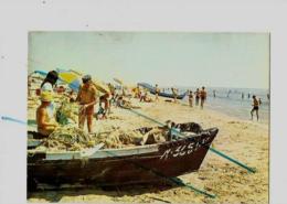 Cpm 344917 Frontignan Plage La Plage Et Ses Activités Diverses - Frontignan