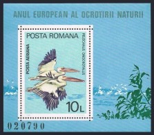 Romania 1980 European Nature Protection Year Pelicans Birds Bird Perlican Animals Stamps MNH SC C232 Michel 3711 BL167 - Pelícanos