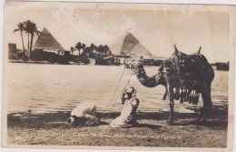 AFRIQUE,EGYPTE,EGYPT,LE CAIRE,CAIRO,1930,chameau,pause Priere - Other & Unclassified