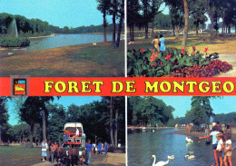 CPM  La Havre Foret De Montgeon - Forêt De Montgeon