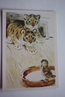 Little Tiger And Sparrow -   OLD   PC 1984 - Tigers