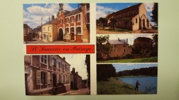 SAINT-SAUVEUR-EN-PUISAYE    MULTIVUES    DEPT 89 YONNE - Saint Sauveur En Puisaye