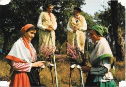 DEPT 40 - VISAGE DES LANDES - Scène Folklorique Avec Les Becuts De Countis - ENCH0616  - - Castets