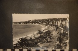 CP, 06, NICE, La Promenade Des Anglais - Autres & Non Classés