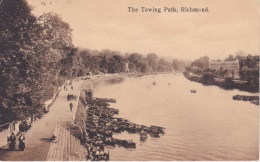 16 / 6 / 442  -  THE  TOWING  PATH,  RICHEMOND - Richmond