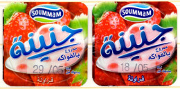 Opercule Cover Yaourt Yogurt " Soummam " 2 Variantes Fraise Yoghurt Yoghourt Yahourt Yogourt - Koffiemelk-bekertjes