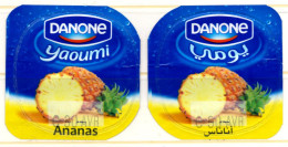 Opercule Cover Yaourt Yogurt " Danone " Yaoumi 1 Pair Ananas Yoghurt Yoghourt Yahourt Yogourt - Milk Tops (Milk Lids)