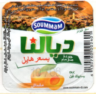 Opercule Cover Yaourt Yogurt " Soummam " DIALNA Vue D'Algérie Abricot Apricot Yoghurt Yoghourt Yahourt Yogourt - Milk Tops (Milk Lids)