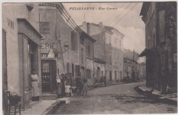 13 - Pélissanne - Rue Carnot - Editeur: Tournlort - Pelissanne