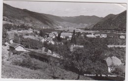 Autriche - Willendorf In Der Wachau - Wachau