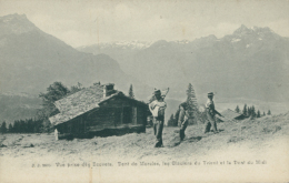 CH LAVEY MORCLES / Vue Prise Des Ecovets, Dent De Morcles, Les Glaciers Du Trient Et La Dent Du Midi / - Lavey