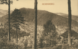 DE HORNBERG / Vue Panoramique / - Hornberg