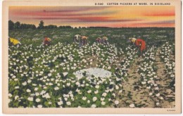 Cotton Pickers At Work, In Dixieland, Unused Linen Postcard [17925] - Altri & Non Classificati