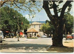 CPSM 84 MALAUCENE LA FONTAINE ET LE COURS 1972 Grand Format 15 X 10,5 - Malaucene