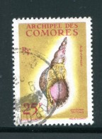 COMORES- Y&T N°24- Oblitéré (coquillage) - Gebraucht