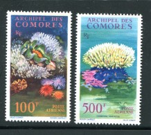 COMORES- P.A Y&T N°5 Et 6- Neufs Avec Charnière * Belle Cote!!! - Airmail