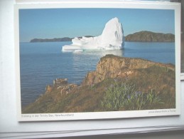 Canada Newfoundland Trinity Bay Ice Mountain - Altri & Non Classificati