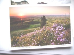 Canada Saskatchewan Cypress Hills Flowers - Andere & Zonder Classificatie
