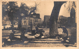 66-COLLIOURE- LES RAVAUDEUSES DE FILETS - Collioure