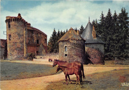 Pompadour Domaine De La Rivière Théojac 19 174 - Arnac Pompadour