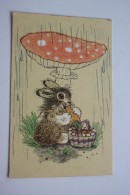 RAIN  By Golubev  - USSR Postcard 1968 Mushroom Champignon Amanita - Mushrooms