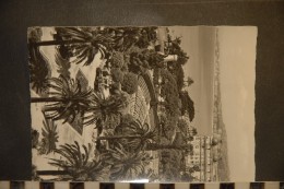 CP, 06, NICE, Les Jardins Albert Ier , Le Theatre De Verdure, L'hotel Ruhl - Parcs Et Jardins