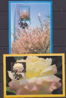 United Nations New York 1977 Definitives / Flowers 2v Maxicards (30819) - Maximum Cards