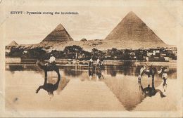 Egypte - Le Caire - Cairo - Les Pyramides Pendant L'Inondation - Edition B. Livadas & Coutsicos - Pyramids
