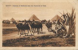 Egypte - Caravane De Bédouins Aux Bords Des Pyramides De Guizeh - Edition B. Livadas & Coutsicos - Personnes