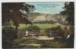 ANN ARBOR (MICHIGAN) - PROSPECT POINT - NEW BOULEVARD - Ann Arbor