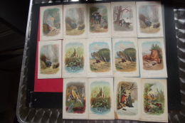 Cp Fables De La Fontaine Lot  23 Cartes Signé Gustave Doré Pub Kolarsine Et Solution Pautauberge - Fairy Tales, Popular Stories & Legends