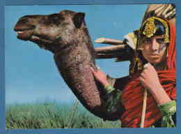 214603 / BEAUTIFUL NOMAD  NOMADE GIRL  With Animal Camel , Photo ASEFI , KABUL PHOTO HOUSE , Afghanistan - Afghanistan