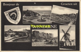 CPA WENDUYNE WENDUINE BONJOUR DE GROETEN UIT - Wenduine