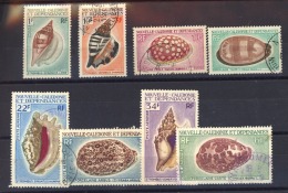 05556  -   Nouvelle Calédonie  :   Yv  368-71 + Av 113-16  (o)   Coquillages - Gebraucht