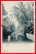 ASIE - SRI LANKA - CEYLON - - Sri Lanka (Ceylon)