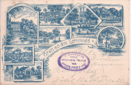 Gruss Aus Dem Spreewald LÜBBENAU Federstrich Litho Vorläufer Bläulich 31.1.1895 Schloß Schneidemühle Polenzschänke Eiche - Lübbenau