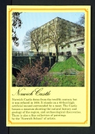 ENGLAND  -  Norwich Castle  Used Postcard - Norwich