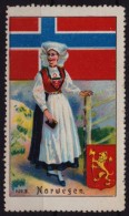 Norway Norge National Costume  / Folk Art / Flag / Coat Of Arms - Cinderella / Label / Vignette - MH - Neufs