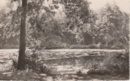 BAILLET étang Parc Henri Gautier - Boissy-l'Aillerie