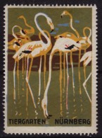 FLAMINGO / Bird - NÜRNBERG TIERGARTEN ZOO / 1910´s Germany - Cinderella / Label / Vignette - MH - Flamants