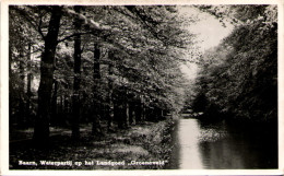 BAARN - Waterpartij Op Het Landgoed "Groeneveld" - Baarn