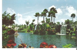 Waterfalls At Garden Of The Groves, Freeport, Bahamas - Bahamas