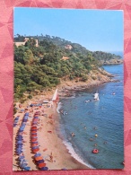 Dep 83 , Cpm Le RAYOL , La Plage Vue De L'hotel "Le Bailli De Suffren"  (83A181) - Rayol-Canadel-sur-Mer