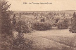 Libin - Les Fauvettes, Château Du Buchay (Edition Belge) - Libin