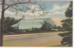 Irwin M. Krohn Conservatory, Eden Park, Cincinnati, Ohio, Linen Postcard [18015] - Cincinnati