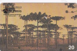 Brazil, Card Number 49, 2 Scans. - Brasilien