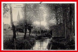 61 - DAMIGNY --  Lavoir  De La Planche - Damigny