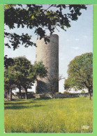 CHALUS / DONJON DE L´ANCIEN CHATEAU FORT / RICHARD COEUR DE LION Y FUT TUE EN 1199 / Carte Vierge ( Annee 1989) - Chalus