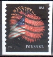 United States 2014 Star Spangled Banner Sc # 4854 - Mi 5047 BG Perf 9½ - Used - Gebraucht