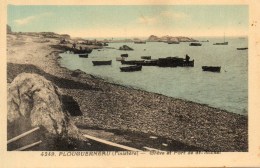 - 29 - PLOUGUERNEAU. - Grève Et Port De St-Michel. - - Plouguerneau